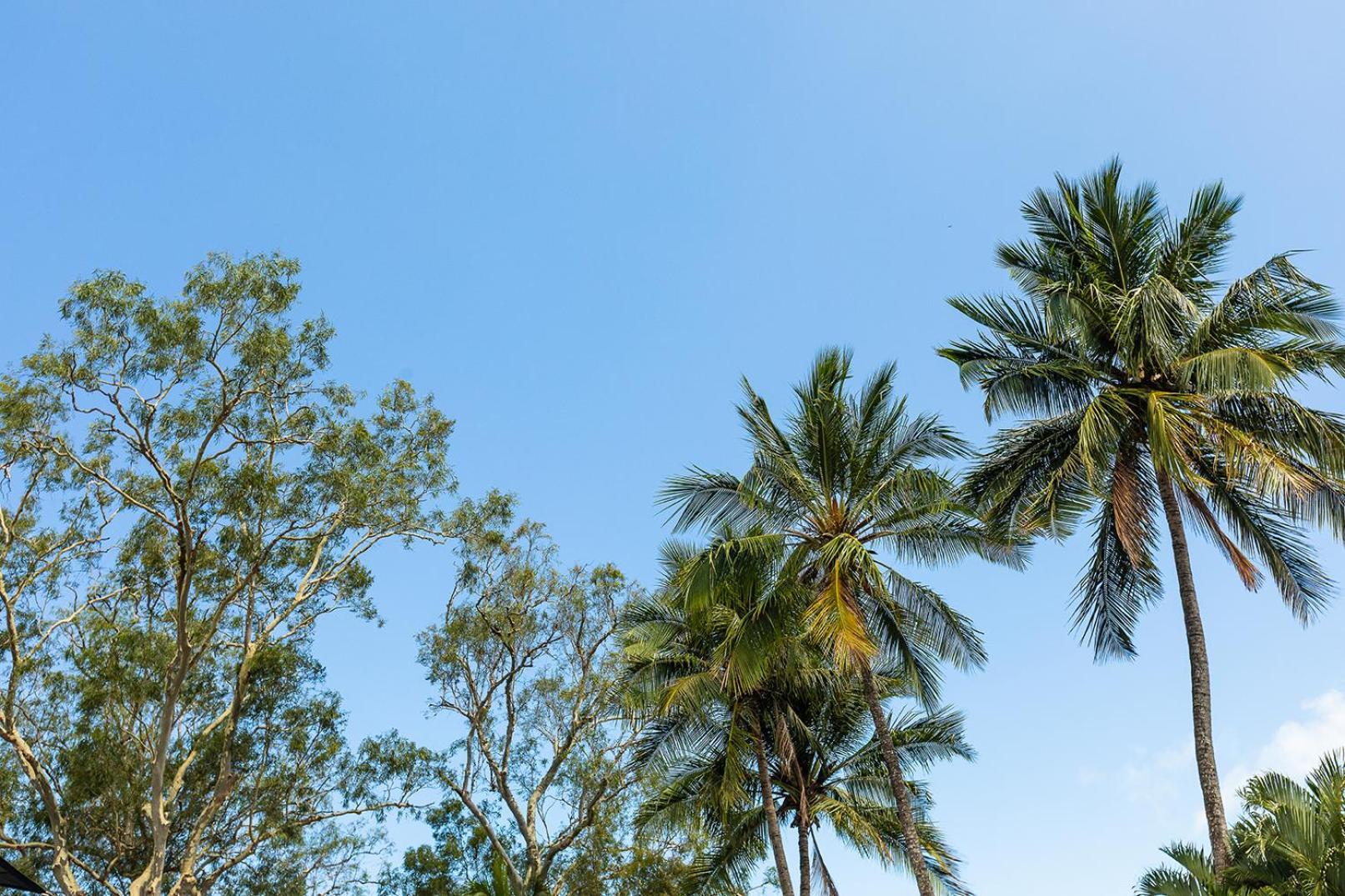 Kipara Tropical Rainforest Retreat Airlie Beach Exterior foto